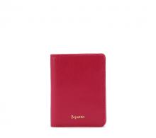 Pass Case