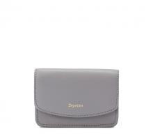 Pass Case