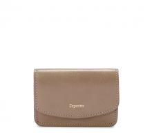 Pass Case