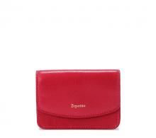 Pass Case